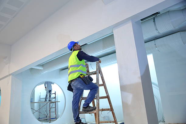 Boise, ID Mold Removal Company