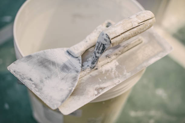 Best Asbestos and Lead Testing During Mold Inspection  in Boise, ID