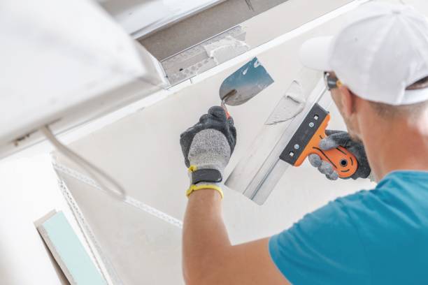 Best Post-Construction Mold Inspection  in Boise, ID